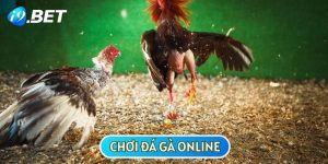 Sổ Tay Chơi Đá Gà Online Cứ Nhìn Là Dự Đoán Chính Xác 99%