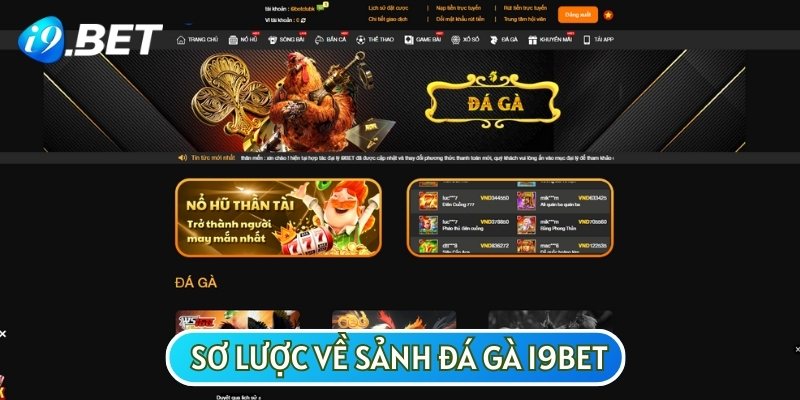 Đá gà là sảnh cược có sức hút mạnh mẽ nhất tại nhà cái I9BET