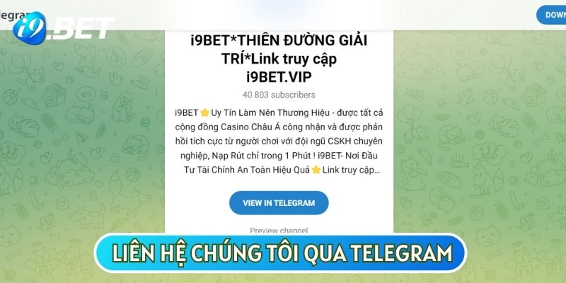 Telegram là kênh hỗ trợ cực kỳ tiện lợi và phù hợp với mọi đối tượng