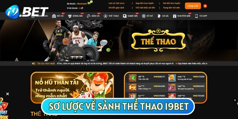 Thể thao được biết đến là sảnh cược đắt khách nhất tại Việt Nam